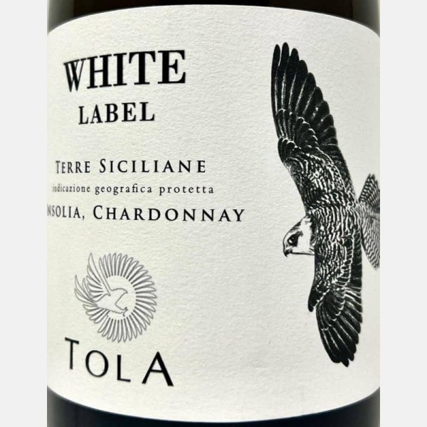 Tola-24230523-bei-Volkswein