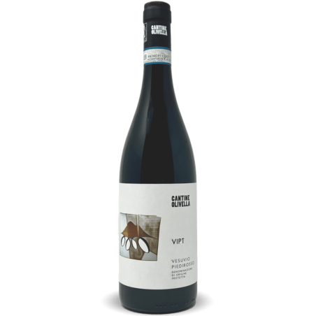 Cantine Olivella-16070221-bei-Volkswein