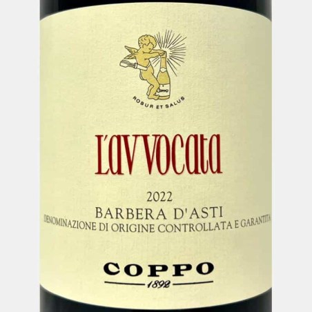 Coppo-22050222-v-Volkswein
