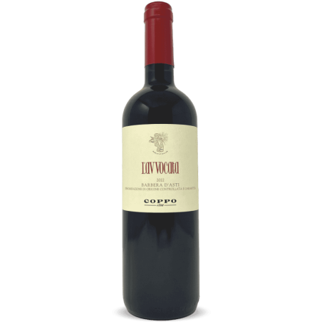 Coppo-22050222-v-Volkswein