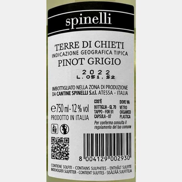 Pinot Grigio Terre di Chieti IGT 2022...