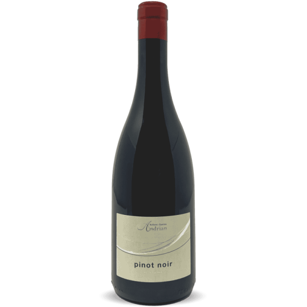 Pinot Noir Alto Adige DOC 2022 -...