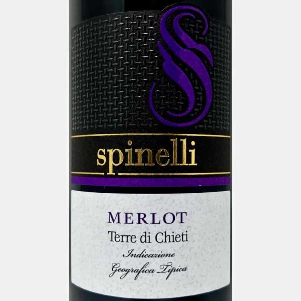 Spinelli-10031822-w-Volkswein