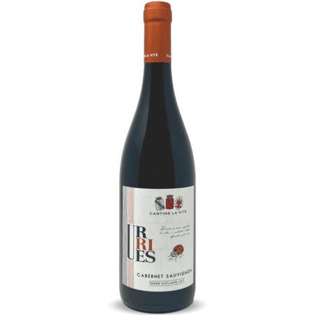 Cantine La Vite-24231222-v-Volkswein