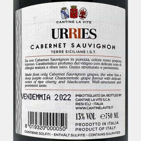 Cantine La Vite-24231222-v-Volkswein