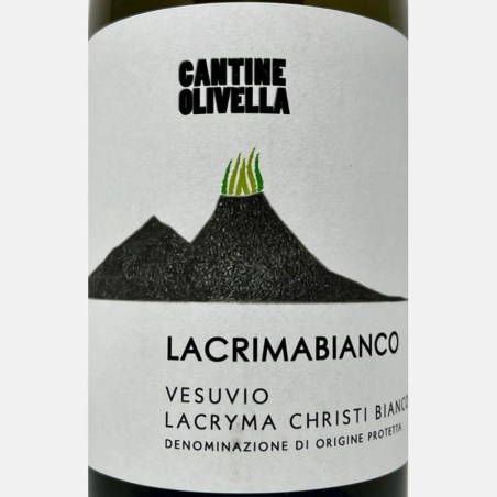 Cantine Olivella-16070423-bei-Volkswein