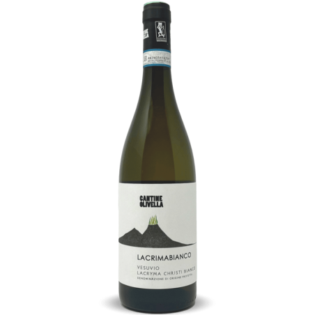 Cantine Olivella-16070423-bei-Volkswein