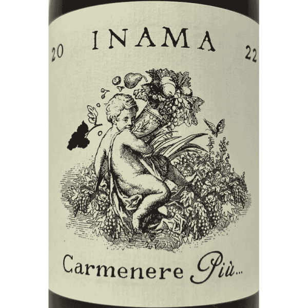 Carmenere Più Rosso Veneto IGT 2022 -...