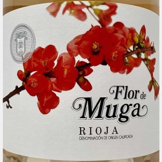 Bodegas Muga-34092123-at-Volkswein